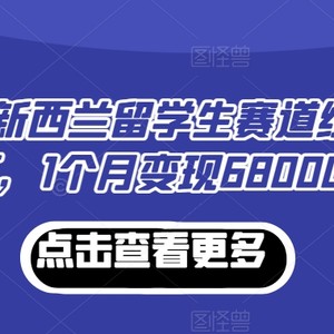 小红书新西兰留学生赛道经验分享，1个月变现68000