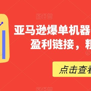 亚马逊爆单机器，打造巨额盈利链接，粗暴好用