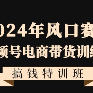 2024年风口赛道视频号电商带货训练营搞钱特训班，带领大家快速入局自媒体电商带货