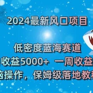 2024最新风口项目，低密度蓝海赛道，单日收益5000+，一周收益4w+！