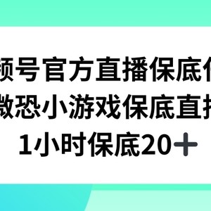 视频号直播任务，微恐小游戏，1小时20+