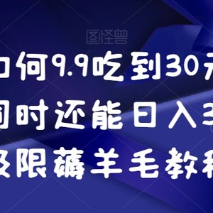 揭秘如何9.9吃到30元的外卖，同时还能日入300+，极限薅羊毛教程