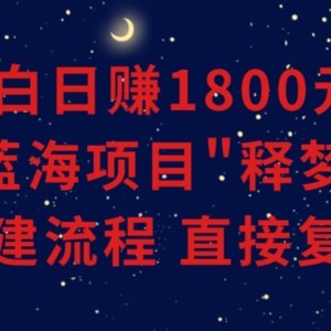 小白能日赚1800元的蓝海项目”释梦”0-1搭建流程可直接复制粘贴长期做