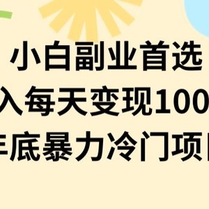 小白副业首选，0成本投入，每天变现1000-2000年底暴力冷门项目【揭秘】