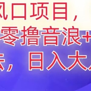 2024风口项目，抖音无人主播撸音浪+卖课程玩法，日入大几千【揭秘】