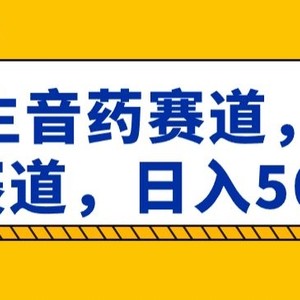 养生音药赛道，蓝海赛道，日入500+【揭秘】