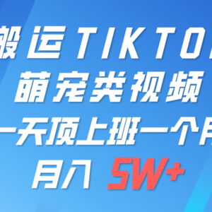 一键搬运TIKTOK萌宠类视频，一部手机即可操作，所有平台均可发布 轻松月入5W+