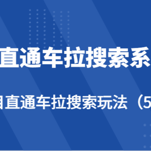 无界直通车拉搜索系统课-各类目直通车拉搜索玩法（5节课）