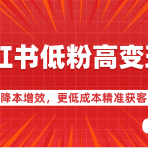 小红书低粉高变现课-降本增效，更低成本精准获客，小红书必爆的流量密码