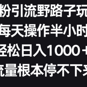 男粉引流野路子玩法，每天操作半小时轻松日入1000＋，流量根本停不下来