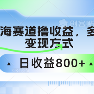 中老年人健身操蓝海赛道撸收益，多种变现方式，日收益800+