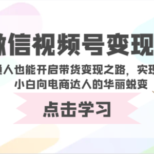 微信视频号变现营-普通人也能开启带货变现之路，实现电商小白向电商达人的华丽蜕变