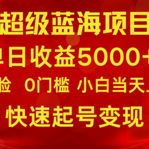 2024超级蓝海项目 单日收益5000+ 不露脸小游戏直播，小白当天上手，快手起号变现