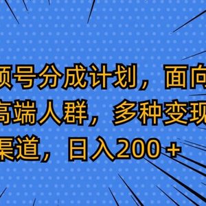 视频号分成计划，面向中高端人群，多种变现渠道，日入200＋