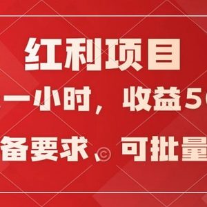 日均收益500+，全天24小时可操作，可批量放大，稳定！