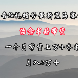 抖音&视频号最新蓝海赛道，治愈书籍带货，一个月带货上万+本书，月入2万＋