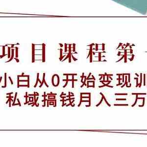 教辅项目课程第一期：新手小白从0开始变现训练营 私域搞钱月入三万