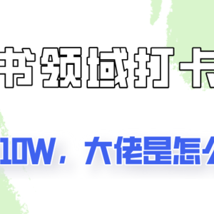 通过小红书领域打卡项目2个月赚10W，大佬是怎么做的？