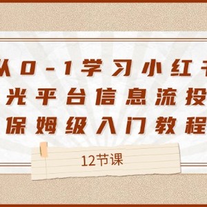 从0-1学习小红书聚光平台信息流投放，保姆级入门教程（12节课）