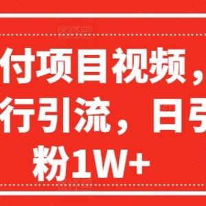 爆火赔付项目视频，全网平台进行引流，日引创业粉1W+【揭秘】