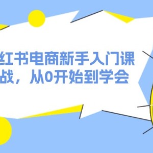 2024小红书电商新手入门课，店群实战，从0开始到学会（31节）