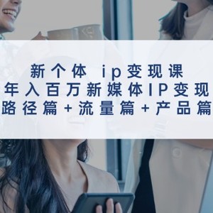 新个体ip变现课，年入百万新媒体IP变现，路径篇+流量篇+产品篇