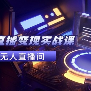 2024全套Ai无人直播变现实战课，搭建AI无人直播间，利用AI赚钱 (24节课)