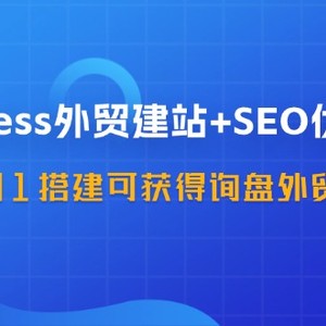 WordPress外贸建站+SEO优化教程，从0到1搭建可获得询盘外贸网站（57节课）