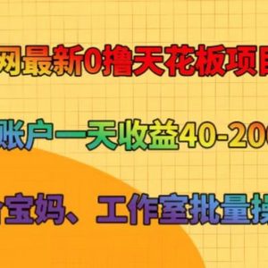 全网最新0撸天花板项目 单账户一天收益40-200 适合宝妈、工作室批量操作