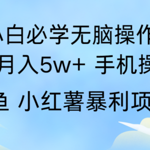 全网首发2024最暴利手机操作项目，简单无脑操作，每单利润最少500+