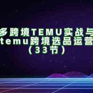 拼多多跨境TEMU实战与选品，多多temu跨境选品运营实操（33节）