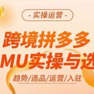 跨境拼多多TEMU实操与选品，多多temu跨境选品运营实操