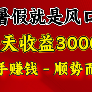 一天收益2500左右，赚快钱就是抓住风口，顺势而为！暑假就是风口，小白当天能上手