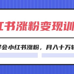 2024小红书19天涨粉变现特训营，快速学会小红书涨粉，月入十万轻松变现（42节）