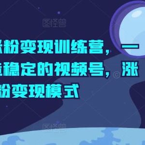 视频号涨粉变现训练营，一站式打造稳定的视频号，涨粉变现模式