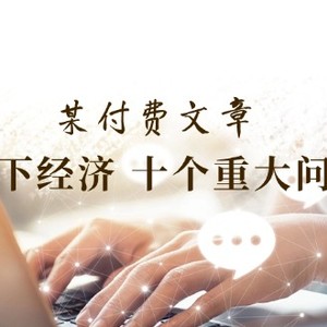 公众号付费文章《当下经济 十个重大问题》覆盖了大家关心的全部经济类话题