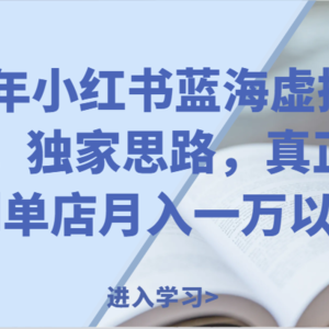 24年小红书蓝海虚拟项目，独家思路，真正做到单店月入一万以上。