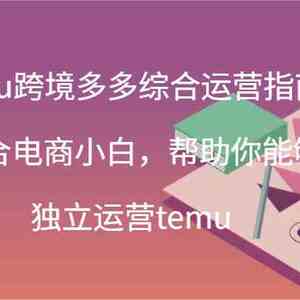 temu跨境多多综合运营指南-适合电商小白，帮助你能够独立运营temu(44节)