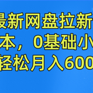 2024最新网盘拉新玩法，无需成本，0基础小白可做，轻松月入6000+