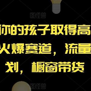 【恭喜你的孩子取得高位】AI视频号火爆赛道，流量分成计划，橱窗带货【揭秘】