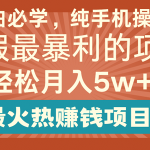 2024暑假最赚钱的项目，小红书咸鱼暴力引流简单无脑操作，每单利润最少500+