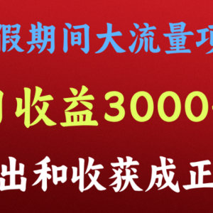 一天收益3000+，暑假期间， 这个项目才是真火