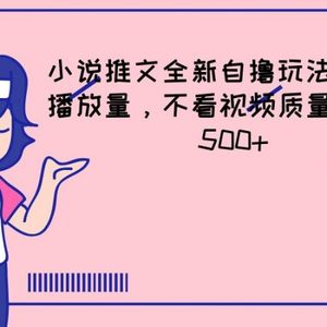 小说推文全新自撸玩法，不看播放量，不看视频质量，每天500+