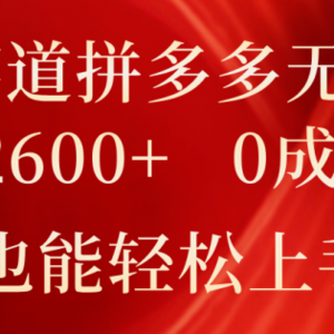 蓝海赛道拼多多无人直播，日入2600+，0成本变现，小白也能轻松上手