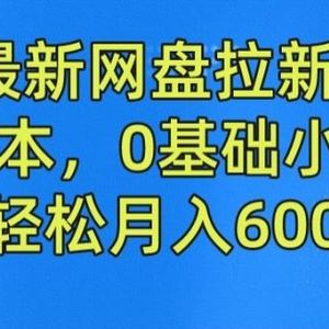 2024最新网盘拉新玩法，无需成本，0基础小白可做，轻松月入6000+【揭秘】