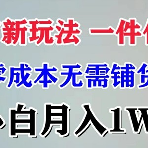 电子商务新模式 一件代发,零成本不用进货，新手月入1W