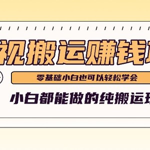 教你如何实际操作影视剧运送新项目，新手都可以做零基础还能赚钱