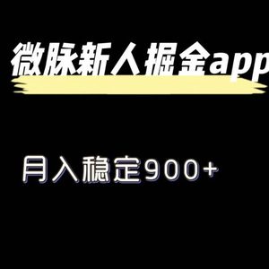 全新微脉长期新项目，引流掘金队，月入平稳900