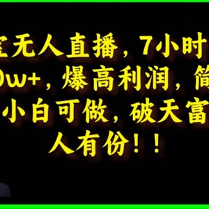 淘宝网无人直播，绝对高盈利，简单直接，小白可做