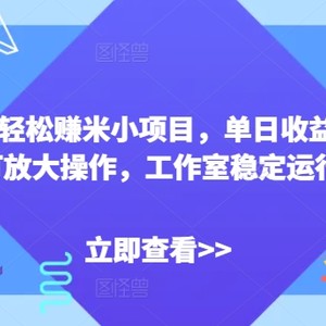 闲置手机轻松赚米小项目，单日收益100+，可放大操作，工作室稳定运行